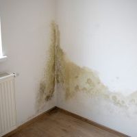 water-leak-detection-identify-mould-growth